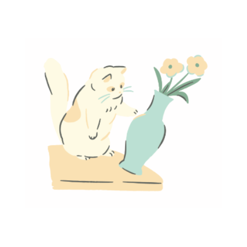 暮らしを整える（画像のみ）